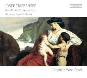 Cover for Triebensee / Amphion Wind Octet · Art of Arrangement (CD) (2011)