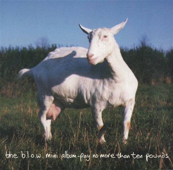 Man And Goat Alike - Blow - Musik -  - 5018524084326 - 