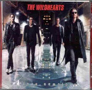 "Endless, Nameless" - Wildhearts - Muziek -  - 5034644001326 - 