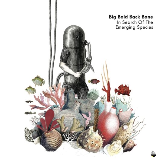 Cover for Big Bold Back Bone · In Search Of The Emerging (CD) (2017)