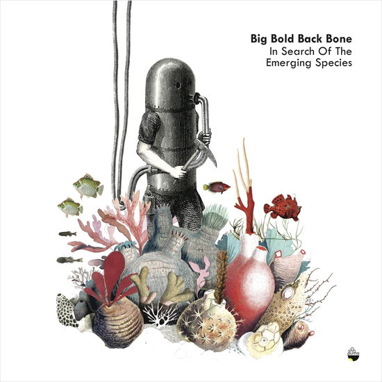 In Search Of The Emerging Species - Big Bold Back Bone - Music - SHHPUMA - 5609063800326 - July 21, 2017