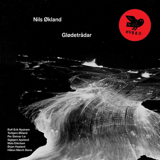 Glodetradar - Nils Okland - Musik - HUBRO - 7033661036326 - 3. juni 2022