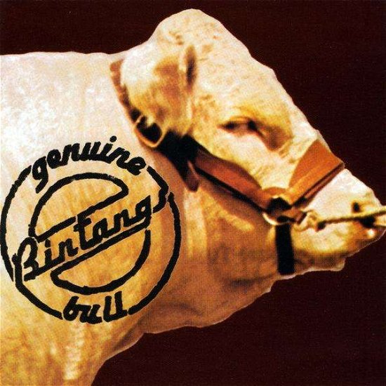 Cover for Bintangs · Genuine Bull (CD) (2009)