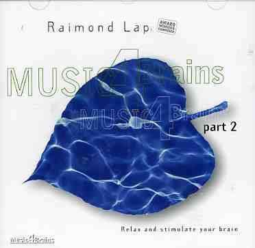 Music 4 Brains, Vol. 2 - Raimond Lap - Muzyka - Raimond Lap - 8717127550326 - 