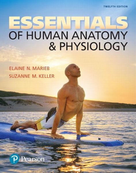 Cover for Elaine N. Marieb · Essentials of Human Anatomy &amp; Physiology (Paperback Book) [12 Rev edition] (2017)