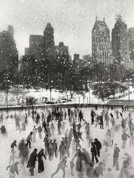 Edward Pfizenmaier Wollman Rink Central Park Notecards - Galison - Bücher - Galison - 9780735341326 - 16. September 2014