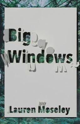 Cover for Lauren Moseley · Big Windows (Pocketbok) (2018)