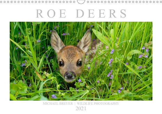 Cover for Breuer · Roe Deers (Wall Calendar 2021 DI (Book)