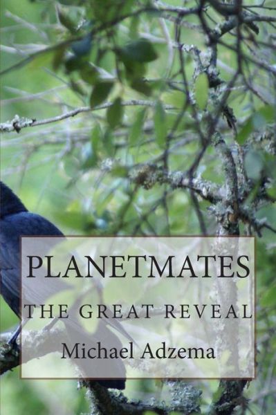 Cover for Michael Adzema · Planetmates: the Great Reveal (Paperback Book) (2014)