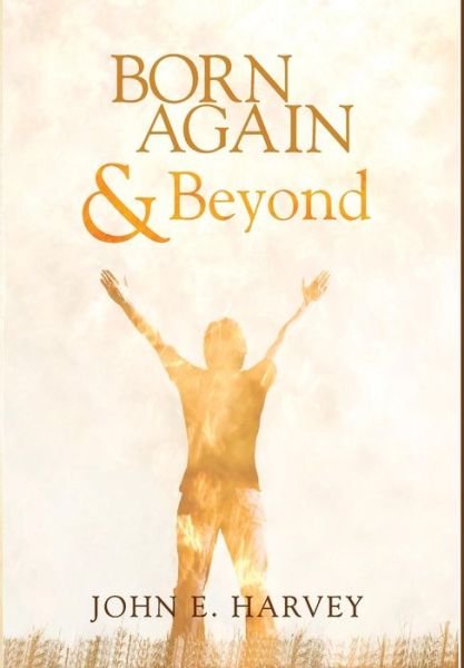 Born Again and Beyond - John E Harvey - Books - Cascade Books - 9781498216326 - November 13, 2013
