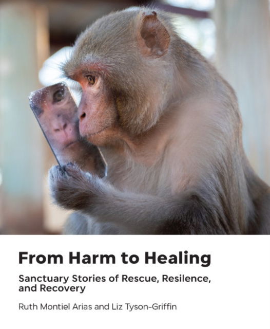 Cover for Arias, Ruth Montiel (Ruth Montiel Arias) · From Harm to Healing: Sanctuary Stories of Rescue, Resilience, and Recovery (Hardcover Book) (2024)