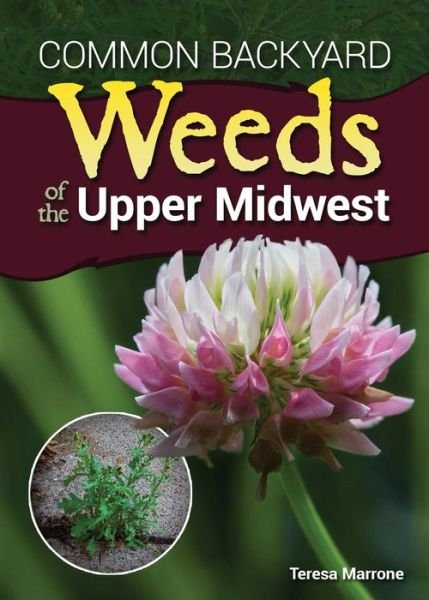 Cover for Teresa Marrone · Common Backyard Weeds of the Upper Midwest (Paperback Bog) (2017)