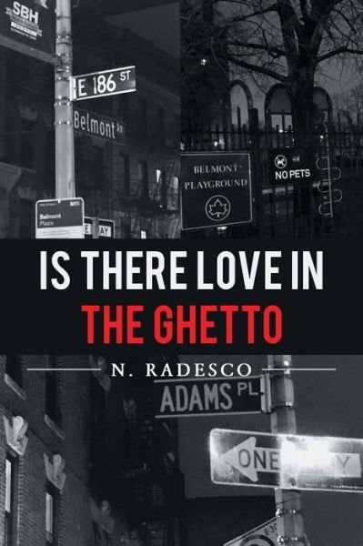 Cover for N Radesco · Is There Love in the Ghetto (Paperback Bog) (2017)