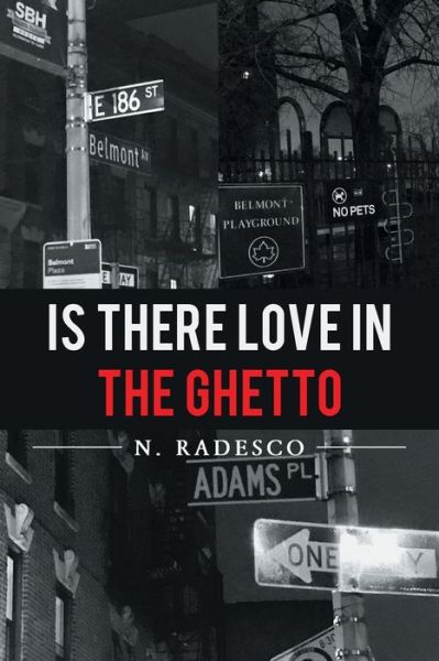 Cover for N Radesco · Is There Love in the Ghetto (Paperback Book) (2017)