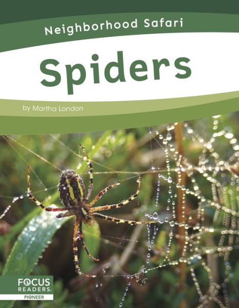 Cover for Martha London · Spiders - Neighborhood Safari (Paperback Book) (2020)