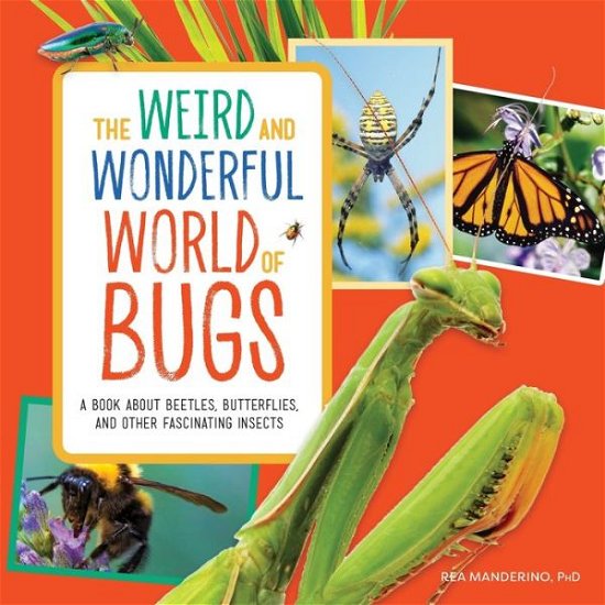 Cover for Rea Manderino · Weird and Wonderful World of Bugs (Book) (2020)