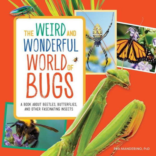 Cover for Rea Manderino · Weird and Wonderful World of Bugs (Book) (2020)