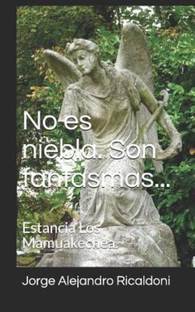 Cover for Jorge Alejandro Ricaldoni · No es niebla. Son fantasmas... (Paperback Book) (2018)