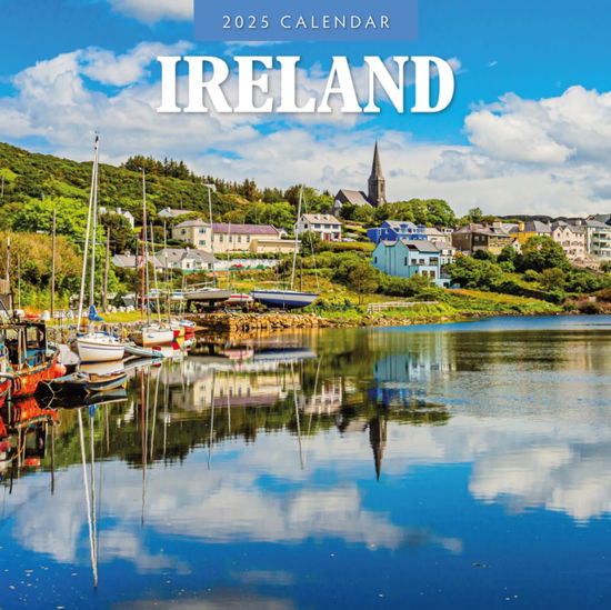 Cover for Red Robin · Ireland 2025 Square Wall Calendar (Pocketbok) (2024)