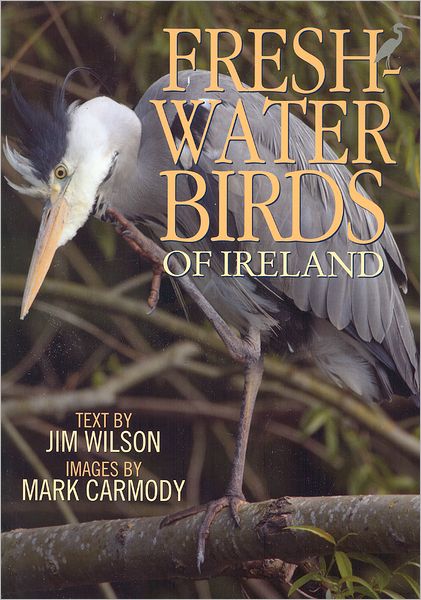 Cover for Jim Wilson · Freshwater Birds of Ireland (Pocketbok) (2012)