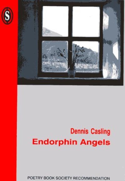 Cover for Dennis Casling · Endorphin Angels (Paperback Book) (2001)