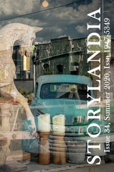 Storylandia, Issue 34 : The Distance Between Here and Elsewhere - Ginger Mayerson - Books - Wapshott Press, The - 9781942007326 - April 27, 2020