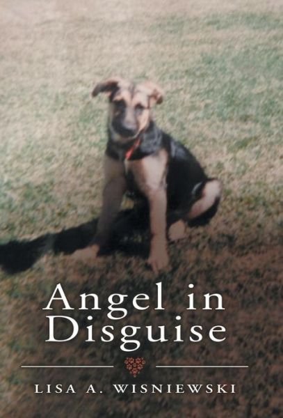 Cover for Author · Angel in Disguise (Innbunden bok) (2019)
