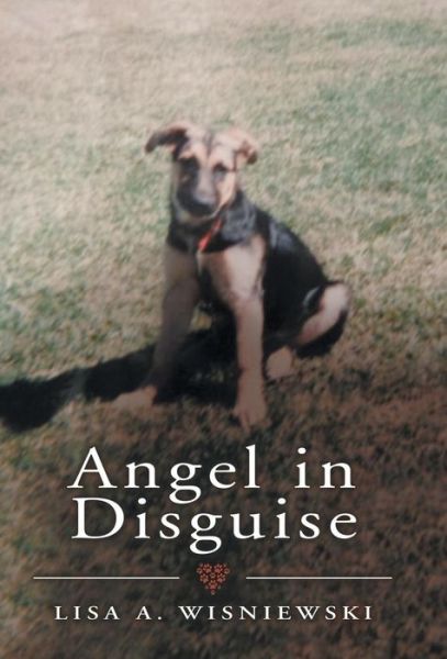 Cover for Author · Angel in Disguise (Inbunden Bok) (2019)