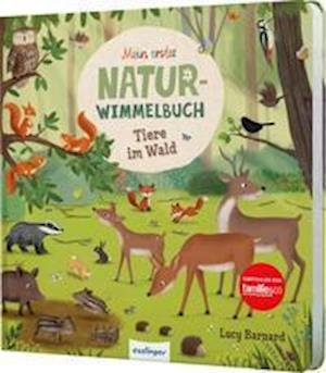 Cover for Sibylle Schumann · Mein erstes Natur-Wimmelbuch: Tiere im Wald (Kartongbok) (2022)