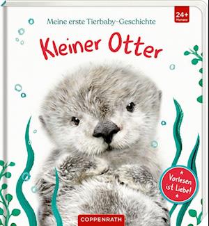 Cover for Amanda Wood · Meine erste Tierbaby-Geschichte: Kleiner Otter (Book) (2022)