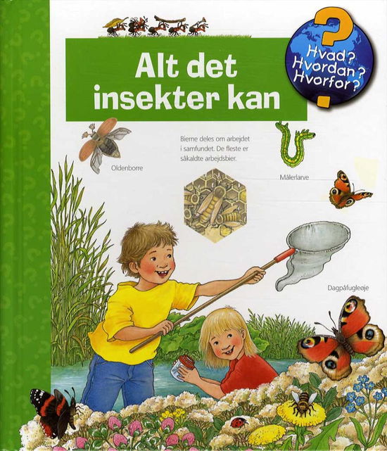 Alt det insekter kan - Angela Weinhold - Books - Klematis - 9788771392326 - March 20, 2016