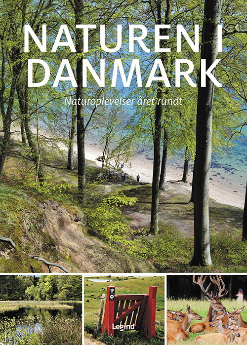 Cover for Søren Olsen · Miniguide: Naturen i Danmark (Bound Book) [1st edition] (2020)