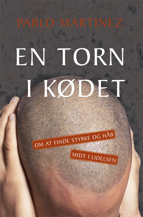 Cover for Pablo Martínez · En torn i kødet (Book) [1st edition] (2009)