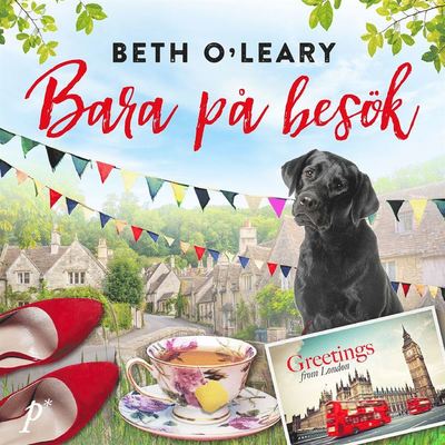 Cover for Beth O'Leary · Bara på besök (Audiobook (MP3)) (2020)