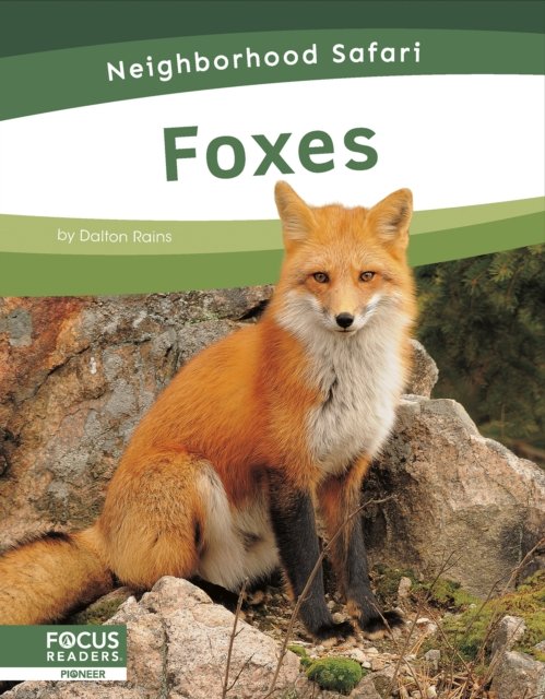 Cover for Dalton Rains · Neighborhood Safari: Foxes (Taschenbuch) (2024)