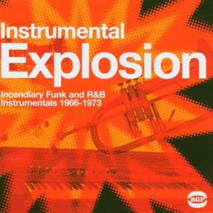 Cover for Various Artists · Instrumental Explosion (CD) (2004)