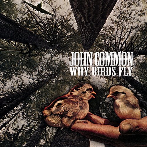 Cover for John Common · Why Birds Fly (CD) (2007)