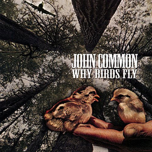 Why Birds Fly - John Common - Musiikki - FREE SCHOOL RECORDS - 0029817997327 - tiistai 18. syyskuuta 2007