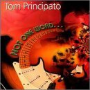 Cover for Tom Principato · Not One Word (CD) (2000)