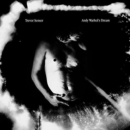 Trevor Sensor · Andy WarholS Dream (CD) (2017)