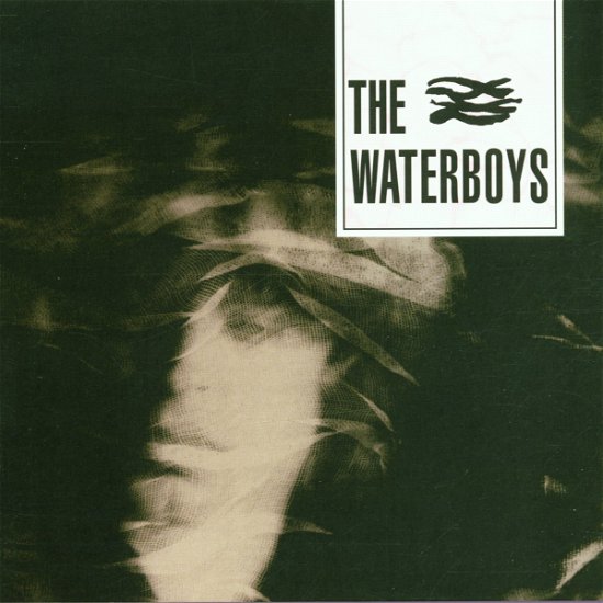Cover for Waterboys · Waterboys-waterboys (CD) [Bonus Tracks, Remastered edition] (2002)
