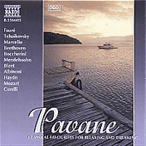 Cover for Night Music 3: Pavane / Various (CD) (2001)