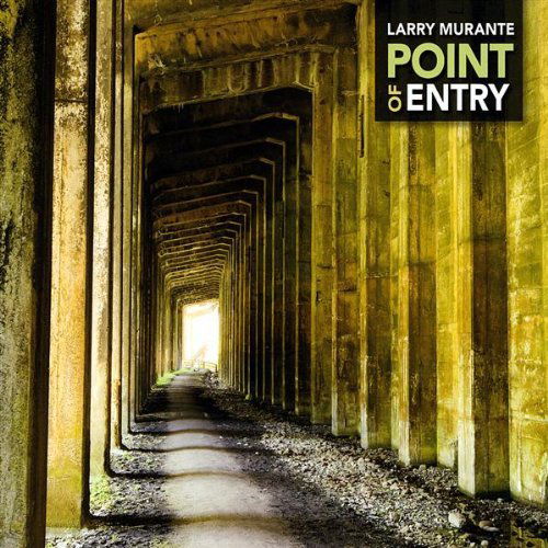 Point of Entry - Larry Murante - Musiikki - Larry Murante - 0753701151327 - tiistai 24. maaliskuuta 2009