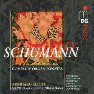 * Sämtl.sonaten Für Orgel 1-3 - Reinhard Kluth - Muzyka - MDG - 0760623017327 - 16 grudnia 2013