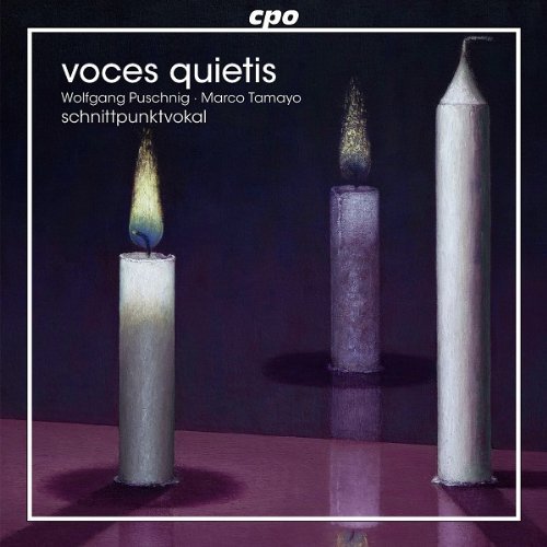 Voces Quietis - Schnittpunktvokal - Musik - CPO - 0761203777327 - 29. januar 2013