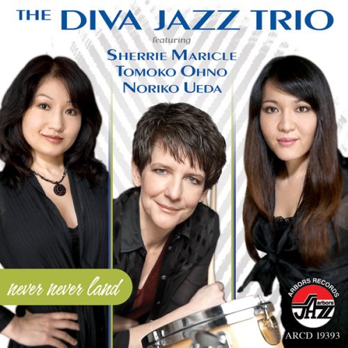 Cover for Diva · Never Never Land (CD) (2009)