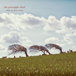 Cover for The Pineapple Thief · What We Have Sown (CD) (2013)