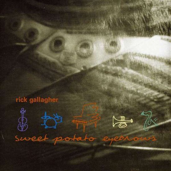 Cover for Rick Gallagher · Sweet Potato Eyebrows (CD) (2002)