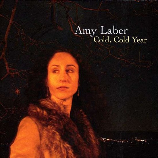 Cover for Amy Laber · Cold Cold Year (CD) (2007)