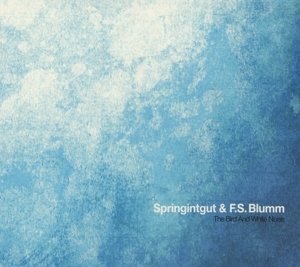 Cover for Springintgut · Bird &amp; White Noise (CD) (2023)